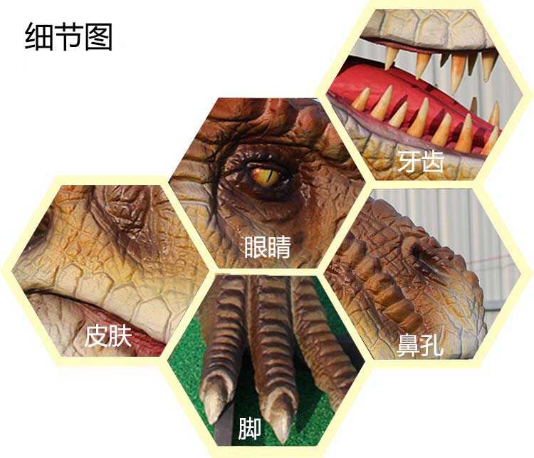 自貢龍城文化仿真恐龍制作細(xì)節(jié)